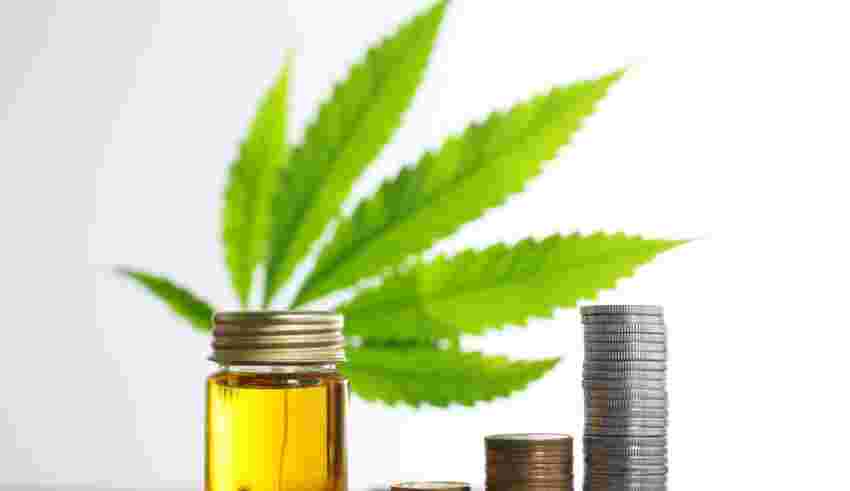 Callie’s Your Favorite Dispensary in Thornton