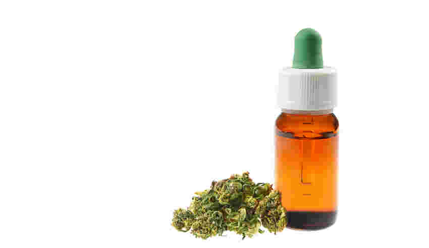 All You Need to Know Regarding CBD Oil